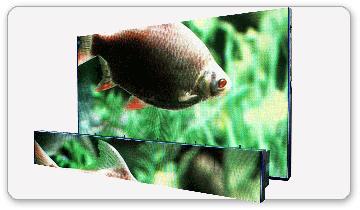 ������� ������������ �������